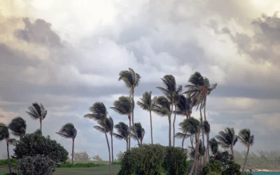 Coastal Commercial Real Estate Faces Reckoning Over Stable Income Assumption, Risk Expert Warns